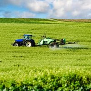 SİMAY DOĞAN İLE TARIMSAL ÜRÜNLERDE İHRACAT İADESİ DESTEĞİ