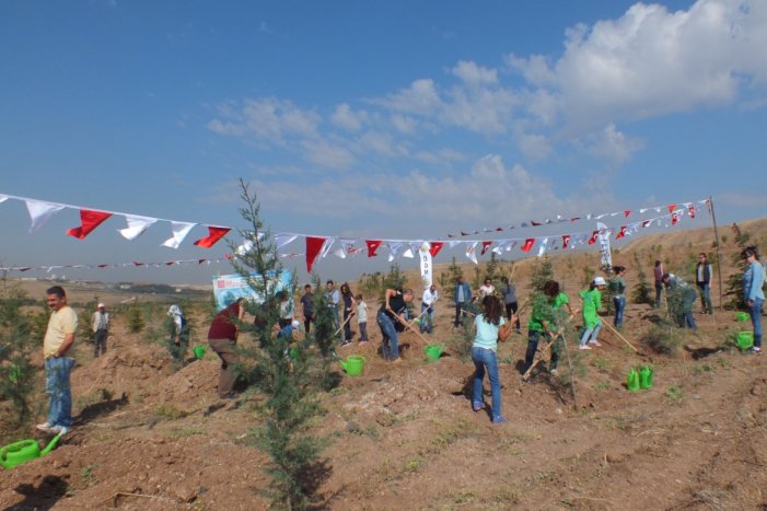 OAİB Hatıra Ormanı Piknik Organizasyonu ile Ankara'nın Ağaçlandırılmasına Katkı Sağlandı